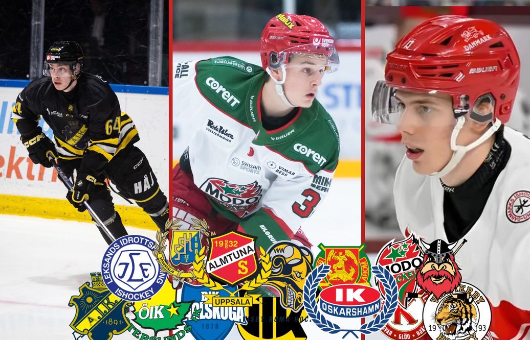 14 potentiella genombrott i Hockeyallsvenskan 26/27